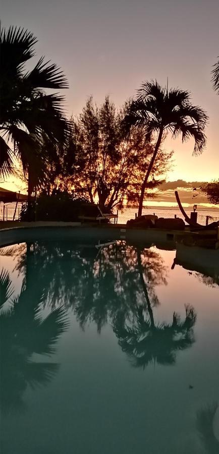 La Maison De La Plage - Guest House Albion Bagian luar foto