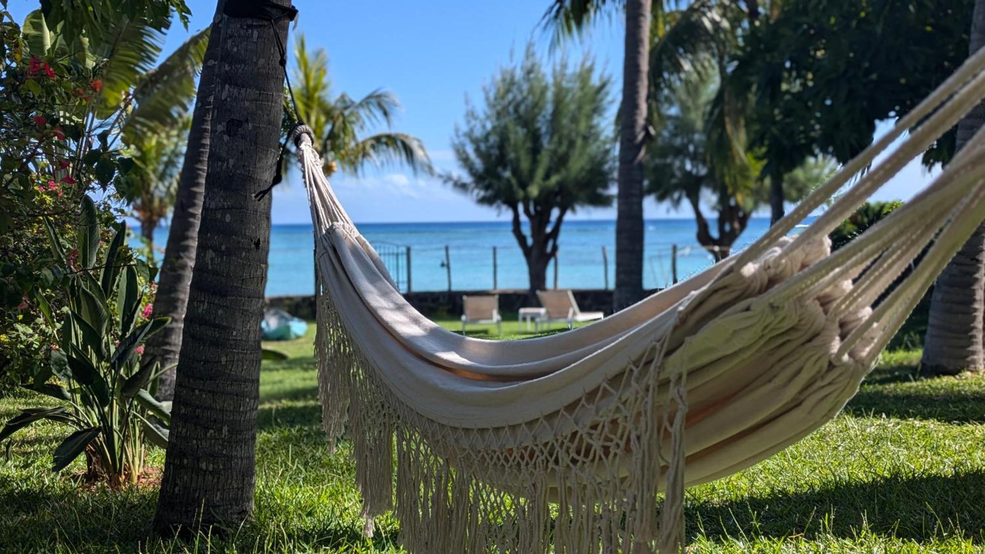 La Maison De La Plage - Guest House Albion Bagian luar foto